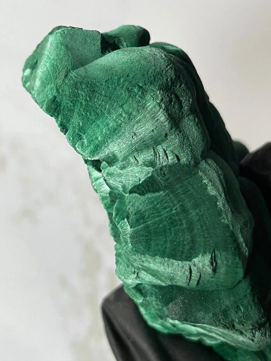 Banded green malachite cabochon with concentric rings — Katanga, DR Congo | LBV Crafts